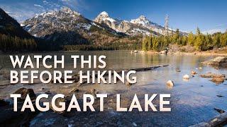 How to Get the Most Out of Your Taggart Lake Hike: Grand Teton National Park