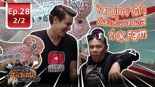 Cichlidae ปลาหมอสีที่ OK Farm - เพื่อนรักสัตว์เอ้ย l EP.28 (2/2)