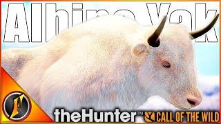 ALBINO YAK + Double Diamond on the Snow Leopard Hunt! | Call of the Wild