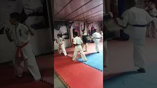 KWF karate kyokushin Kyrgyzstan  #arifloyanov #bishkek #youtube #sorts #kyokushin #tiktok