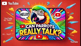 Talking Parrot Does it understand what it says or is it just an imitator The truth will surprise you