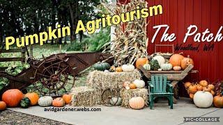 The Patch: Setting up and running a successful pumpkin patch for agritourism, overview