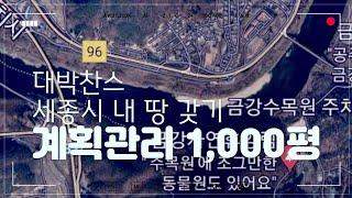 대박 찬스 장군면 금암리 1,000평