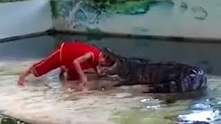 This man put his head inside a crocodile’s mouth and it ended exactly the way you think it would