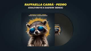 Raffaella Carrà - Pedro (CrazyBoys x Darwin Remix)