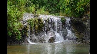 Jhorjhori Trail, Ponthichila , Sitakundu