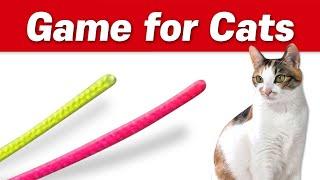 【CAT Games】 Ultimate Cat TV Compilation