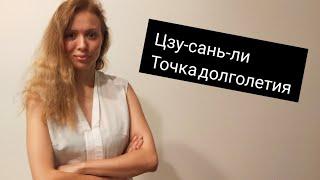 Точка цзу-сань-ли от ста болезней