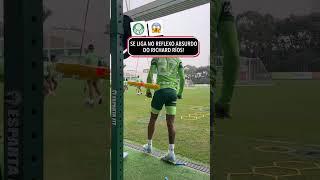 Pega esse reflexo ABSURDO do Richard Ríos!  #Shorts : @palmeiras