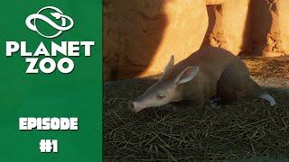 Planet Zoo Franchise Episode 1: Tips for Beginners