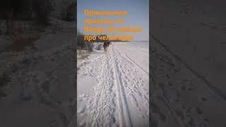Прикольные приколы от ВладаА4 : кто рад что Влад вернулся ? поставил лайк - рад что Влад А4 вернулся