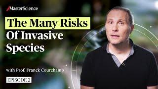 Ep2: The Many Risks of Invasive Species | MasterScience | Franck Courchamp