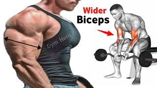 6 Best Exercises For Wider Biceps - Biceps Workout