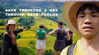 Sapa Trekking 1 Day | Sapa Daily Tours | Sapa Trekking Through Rice Terraced Fields