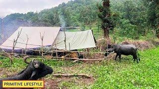 Naturally Peaceful And Beautiful Himalayan Mountain Village Life In Rainy Season || Rural Life Nepal