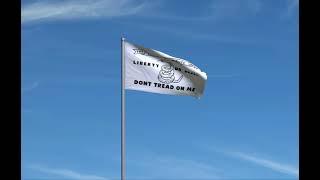 Culpeper Minute Men Flag Flying in the Wind