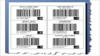 Label Printing I Craftech