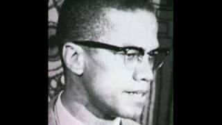 Malcolm X - You Can't Hate the Roots Of A Tree