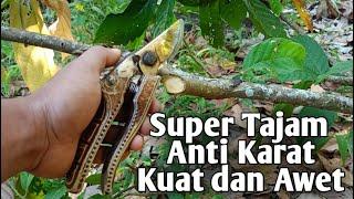 Gunting Pangkas Terbaik Saat ini, Super Tajam dan Sangat Nyaman di Pakai