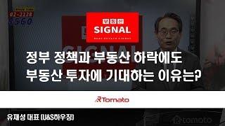 부동산토마토TV 알토마토 rtomato 01/15(화) 부동산시그널 : 정부 정책과 부동산 하락에도 부동산 투자에 기대하는 이유는?