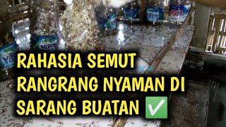 CARA MEMBERSIHKAN BOTOL SARANG SEMUT RANGRANG 