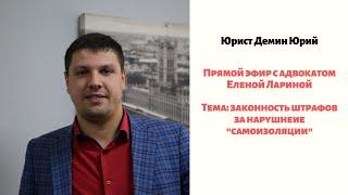 ПРЯМОЙ ЭФИР С АДВОКАТОМ ЕЛЕНОЙ ЛАРИНОЙ