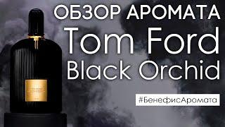 Обзор и отзывы о Tom Ford Black Orchid (Том Форд Блэк Орхид) от Духи.рф | Бенефис аромата