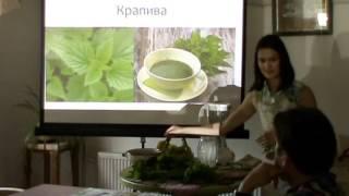 Приветственный смузи с дикоросами. Мастер-класс по зеленым коктейлям