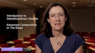 Interdisciplinary Arts and Sciences at The City College of New York Center for Worker Education