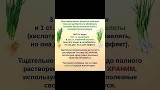 ДЛЯ НАРАЩИВАНИЯ ХОРОШЕГО ЗЕЛЕНОГО ПЕРА ЛУКА