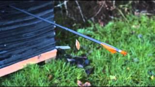 Recurve Trick Shots: Can I shoot a Pence with an Arrow?