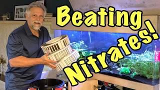 Beating Nitrates!  What Happened and How I'm Fixing It Quickly and Easily!