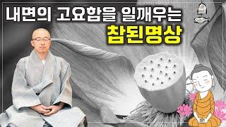 고요함을 일깨우는 참된 명상, 에크하르트 톨레의 고요함의 지혜 명상