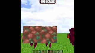 Minecraft TikTok Build Hacks #shorts