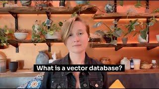 What is a Vector Database? DataStax Explainer Video