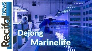 De jong Marinelife : visite du plus gros importateur de coraux et de poissons d'Europe !