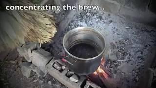 Cooking the Ayahuasca Brew