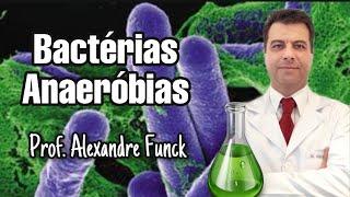 BACTÉRIAS ANAERÓBIAS - PROF. ALEXANDRE FUNCK