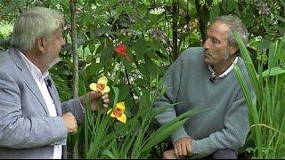 STÉPHANE MARIE VOUS PRÉSENTE SES PLANTES PRÉFÉRÉES DE SON JARDIN