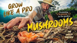 HOW TO GROW OUTDOOR MUSHROOMS