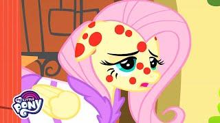 Hurricane Fluttershy | Friendship is Magic | MLP: FiM