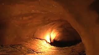 Underground wombat nest at Jarake Wildlife Sanctuary