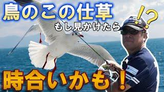 【村岡昌憲】鳥のこの行動見たら期待大！【切り抜き】