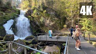 Trip to Triberg Waterfall - Black Forest - Germany's highest waterfalls