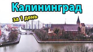 Калининград - куда пойти и что посмотреть за 1 день?