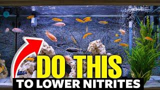 Here's How to Lower Nitrites In Aquariums FAST‍!