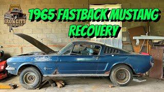 Barn find! 1965 Fastback Mustang out Pittsburgh. 289 V8 4 speed.