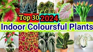 30 Indoor Colourful Houseplants | Indoor Colourful Plants with names | Bast Indoor Plant in Home