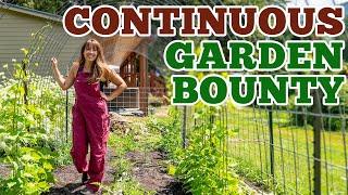 How We Double the Garden Harvest  (SUCCESSION Planting & Intercropping)