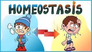 Homeostasis simplified (Positive vs Negative Feedback Concept)